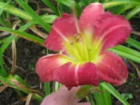 a 242_1024x768.webp