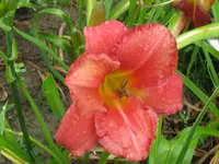 south seas _1024x768.webp