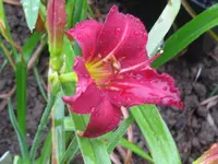 warmduscher_1024x768.webp