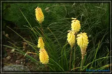 comp_DSC01799.webp
