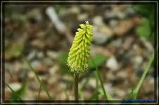 comp_DSC01800.webp