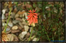 comp_DSC01802.webp