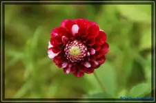 comp_DSC01970.webp