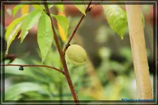 comp_DSC01968.webp