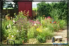 comp_DSC01967.webp