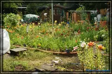 comp_DSC01969.webp