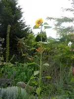 DSCN8948.webp