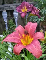 tmp_1921-PicsArt_1404816088091533029015.webp
