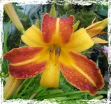 tmp_1921-PicsArt_1404815920684584159355.webp