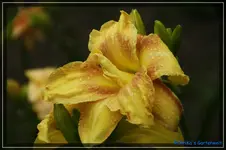 comp_DSC01975.webp