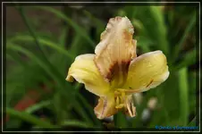 comp_DSC01978.webp