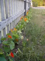 IMGP6779.webp
