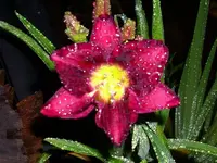 k-DSCI2731.webp