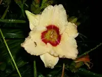 k-DSCI2732.webp