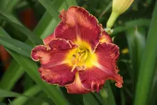 DSC09114.webp