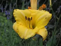060.webp