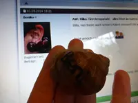 P1140630.webp