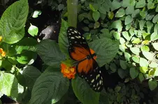 2014_0703sommer0074.webp