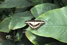 2014_0703sommer0075.webp