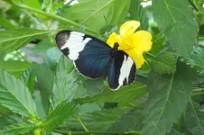 2014_0703sommer0078.webp