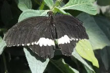 2014_0703sommer0083.webp