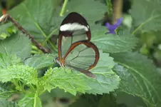 2014_0703sommer0106.webp