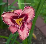 IMG_2855.webp