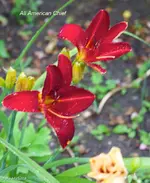 IMG_2864.webp