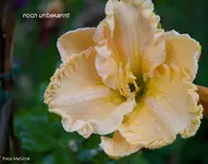IMG_2875.webp