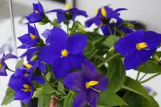 _DSC6343.webp