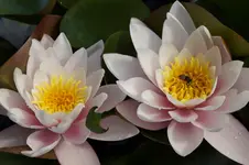 _DSC6341.webp