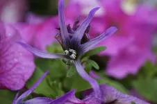 _DSC6316.webp