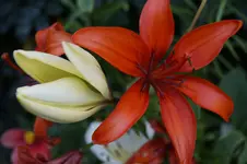 _DSC6298.webp