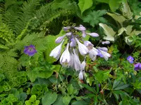 DSCN8955.webp