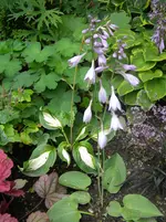 DSCN8956.webp