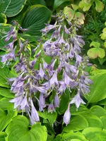 DSCN8957.webp
