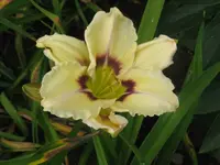 1159_1024x768.webp