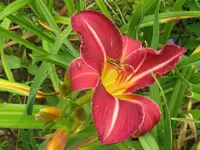 siera madre_1024x768.webp