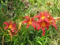 060_1024x768.webp