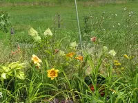 059_1024x768.webp