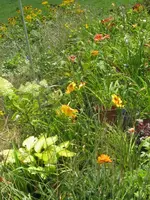 072_576x768.webp