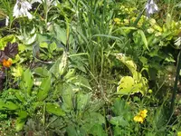 070_1024x768.webp