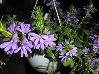 012.webp