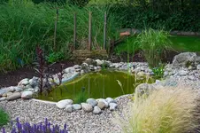 teich_neu.webp