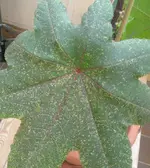 WP_20140710_002.webp