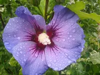 2014-07-09 14.28.01.webp