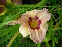 k-DSCI2734.webp