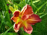 k-DSCI2736.webp