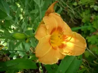 k-DSCI2738.webp
