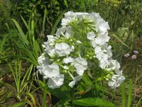 073_1024x768.webp